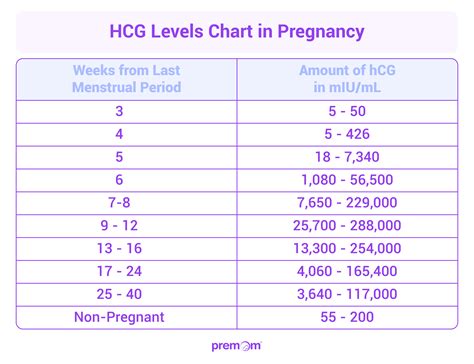 beta hcg pregnancy